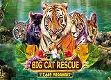 Big Cat Rescue Megaways