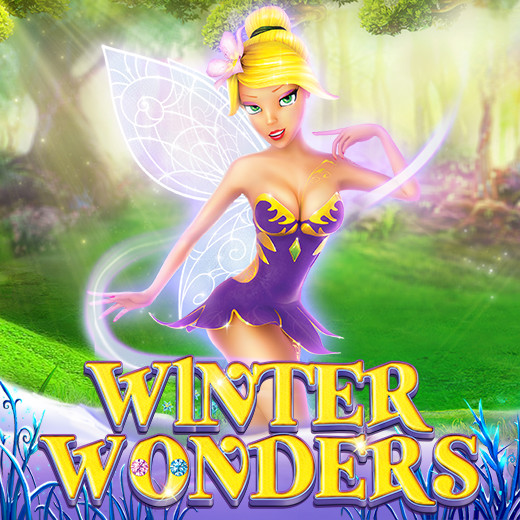 Winter Wonders
